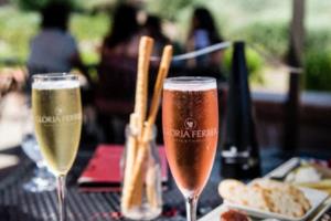 江西第五届篮球联赛萍乡盛启，激情四溢江西第五届篮球联赛萍乡