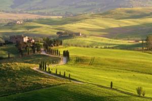 湖南省篮球联赛邵阳市，探索篮球运动发展的新天地湖南省篮球联赛邵阳市